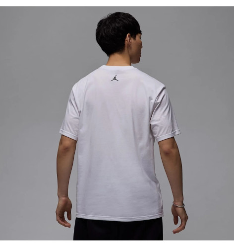Футболка Nike Air Jordan Sport Dri-FIT Graphic