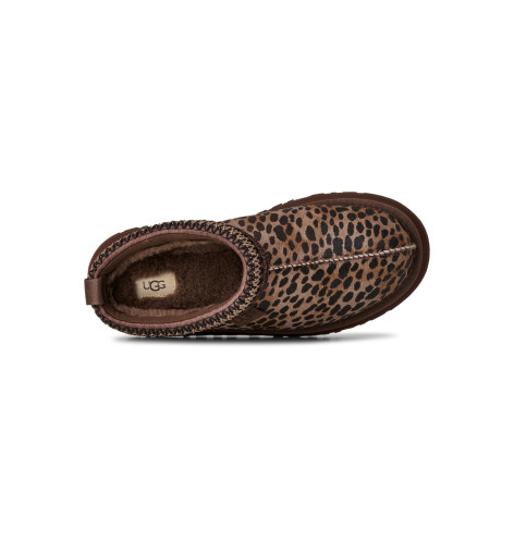 UGG Tazz Caspian