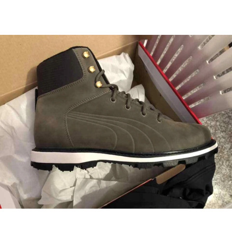 Puma Desierto Fun
