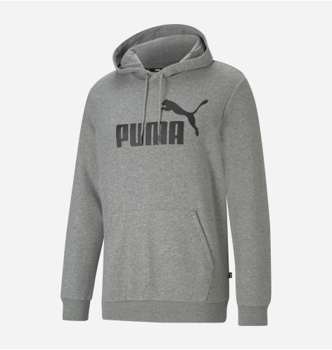 ESS Big Logo Hoodie