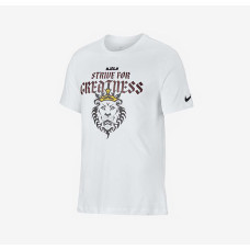 Футболка Nike LBJ Strive For Greatness Tee