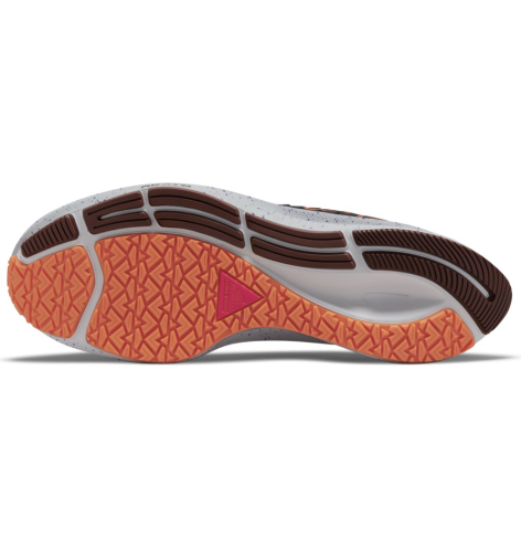 Nike Air zoom Pegasus 38 shield