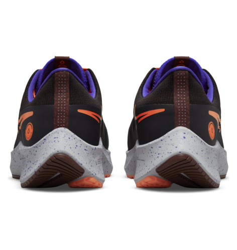 Nike Air zoom Pegasus 38 shield