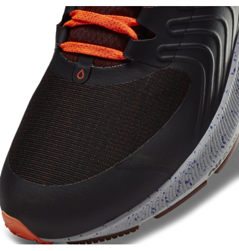 Nike Air zoom Pegasus 38 shield