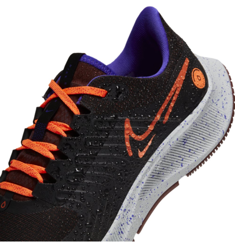 Nike Air zoom Pegasus 38 shield