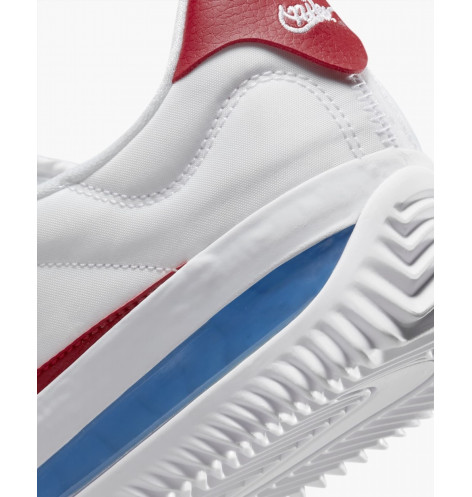 Кросівки Nike BRSB