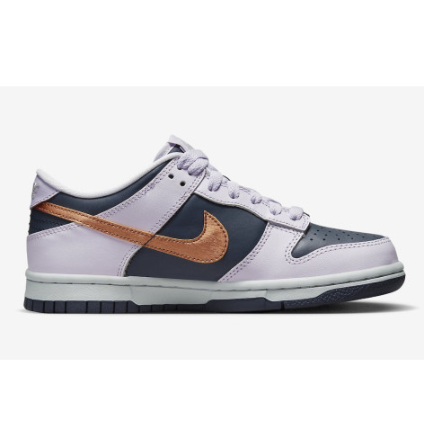 Nike Dunk Low Se (Gs)