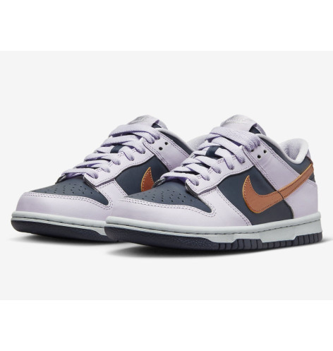 Nike Dunk Low Se (Gs)