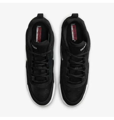 Кросівки Nike SB Air Max Ishod Wair