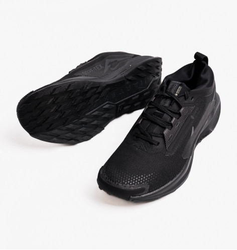 Кросівки чоловічі Nike Pegasus Trail 5 Gore-Tex Black FQ0908-002 44.5