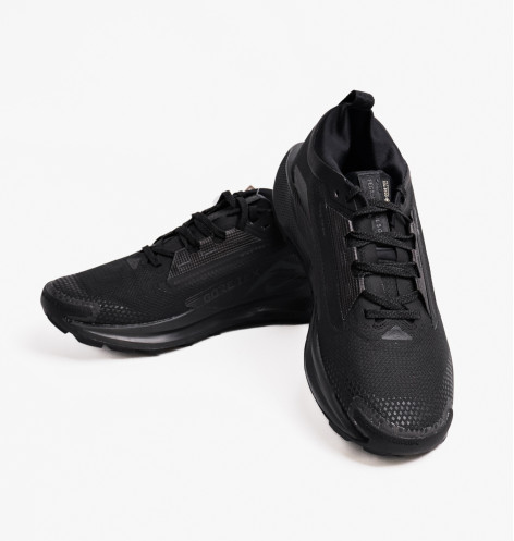 Кросівки чоловічі Nike Pegasus Trail 5 Gore-Tex Black FQ0908-002 44.5