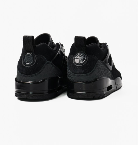 Кросівки чоловічі Air Jordan Spizike Low Black FQ1759-001 42.5