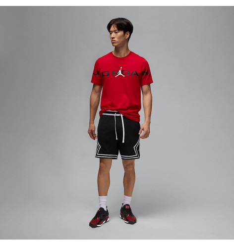 Кросівки Nike Air Jordan Heir Series