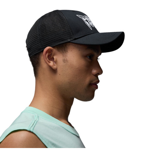 Кепка Jordan Trucker