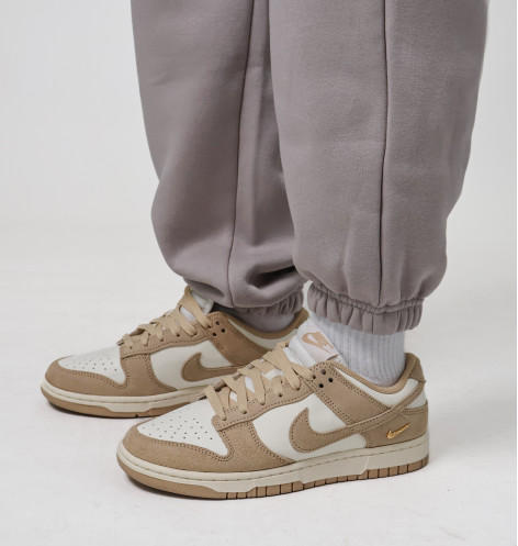 Штани жіночі Nike Sportswear Phoenix Fleece Grey FZ5996-009 XL