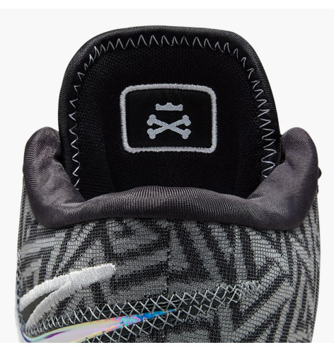 Кросівки Nike Zoom LeBron NXXT Genisus