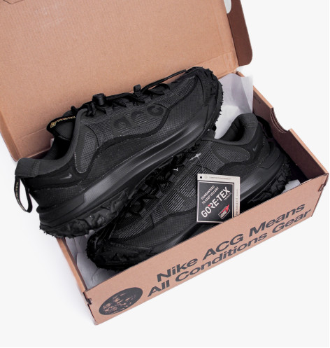 Кросівки чоловічі Nike Acg Mountain Fly 2 Low Gtx Sneaker Black HF6245-001 41