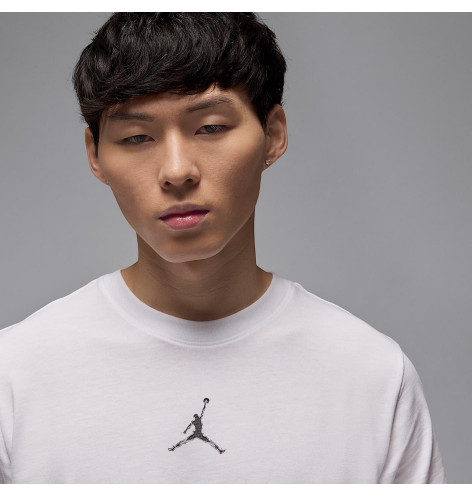 Jordan Sport DF 23 Crew Tee