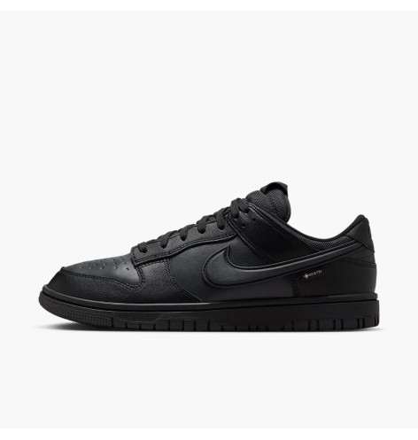 Nike Dunk Low GTX