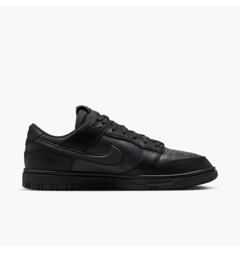Nike Dunk Low GTX