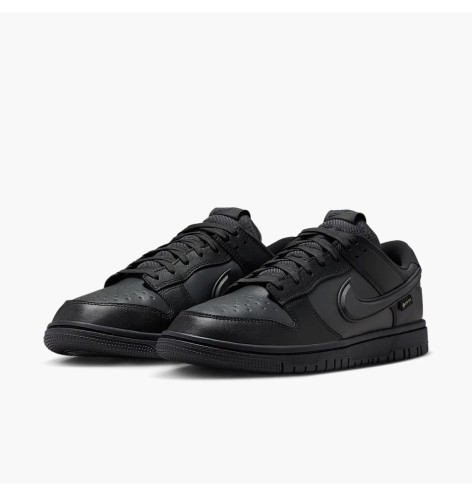 Nike Dunk Low GTX