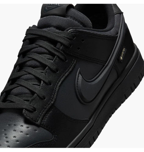 Nike Dunk Low GTX