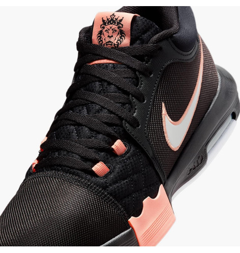 Кросівки Nike Air Jordan LeBron Witness VIII