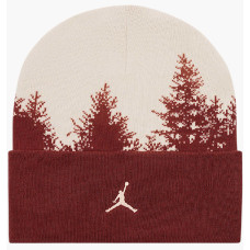 Шапка Nike Air Jordan Peak