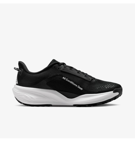 Кросівки Nike ACG Pegasus Trail