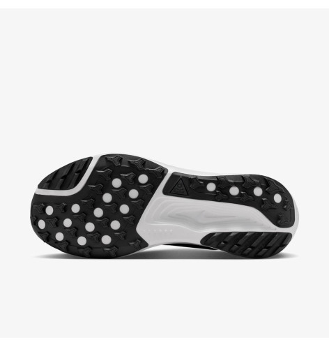 Кросівки Nike ACG Pegasus Trail
