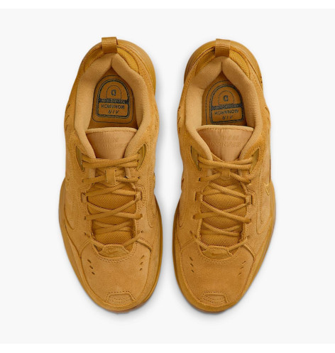 Кросівки Nike Air Monarch SE