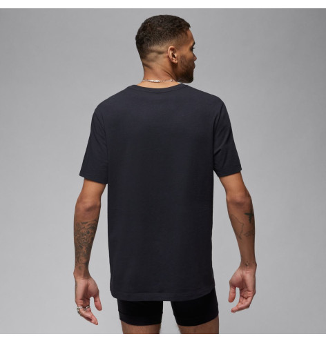Футболка Nike Air Jordan Flight Base Tee 2-Pack