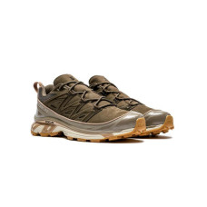 Кросівки Salomon Expanse LTR