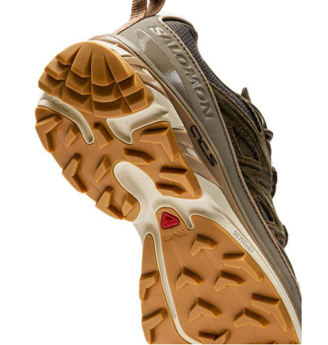 Кросівки Salomon Expanse LTR