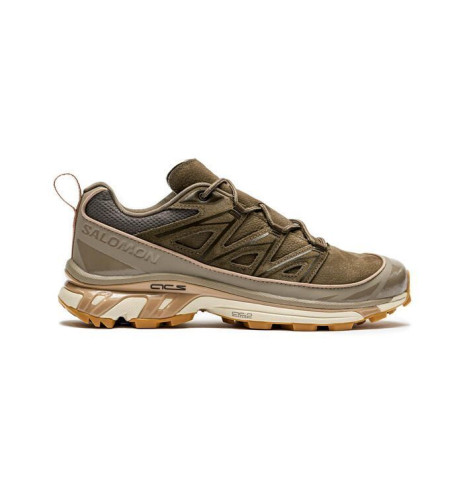 Кросівки Salomon Expanse LTR