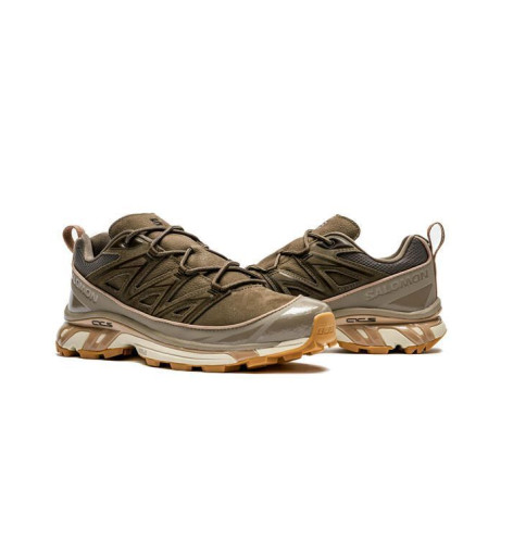 Кросівки Salomon Expanse LTR